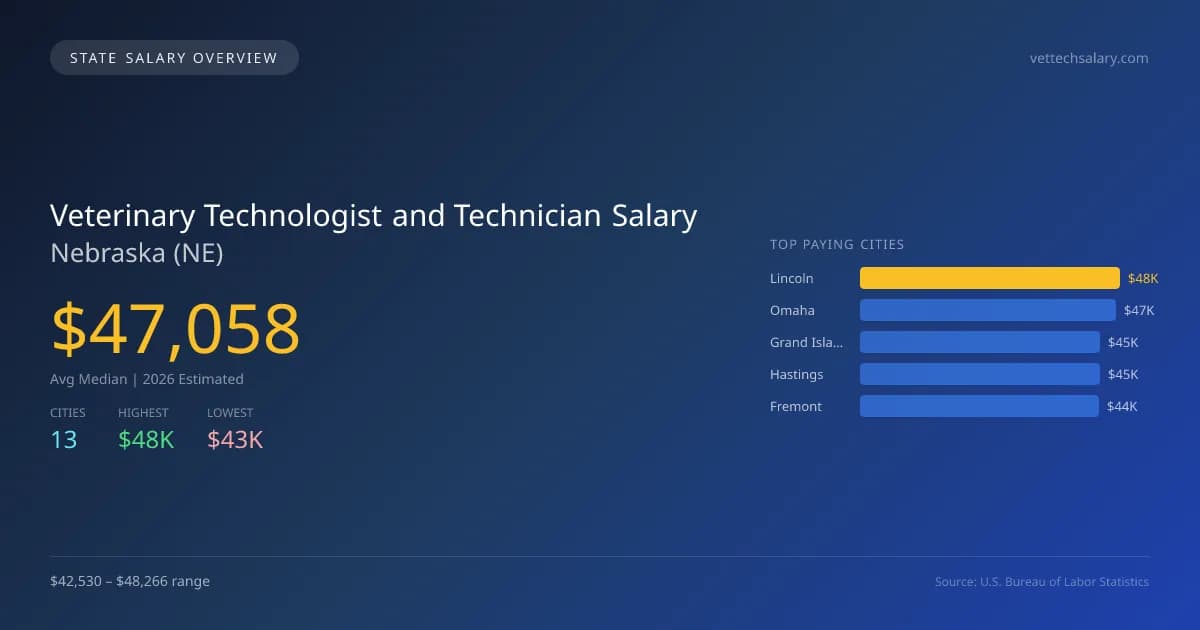 Veterinary Technologist and Technician Salary in Nebraska - 2025 BLS Data Infographic